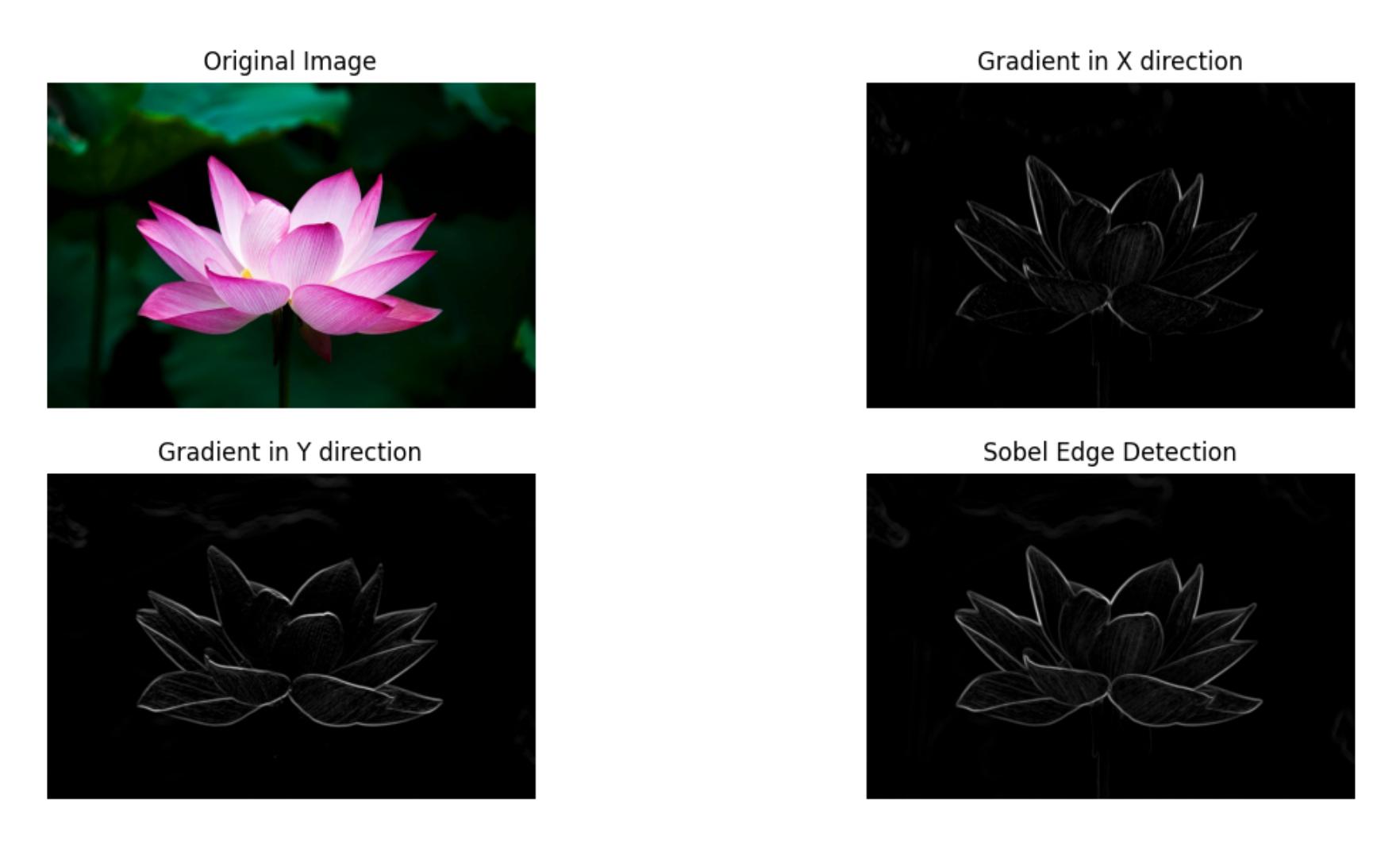 Painel com a foto colorida de uma flor de lótus, seu gradiente na direção X, seu gradiente na direção Y e o resultado final da detecção de bordas por Sobel